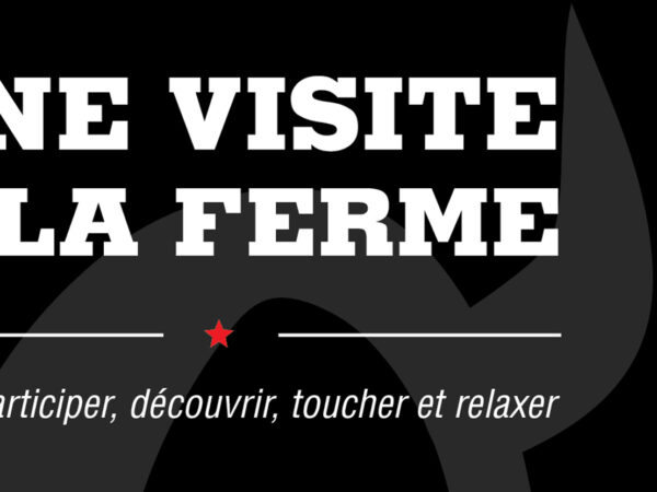 <span>Étiquettes autocollantes, dépliant et affiche</span><i>→</i>