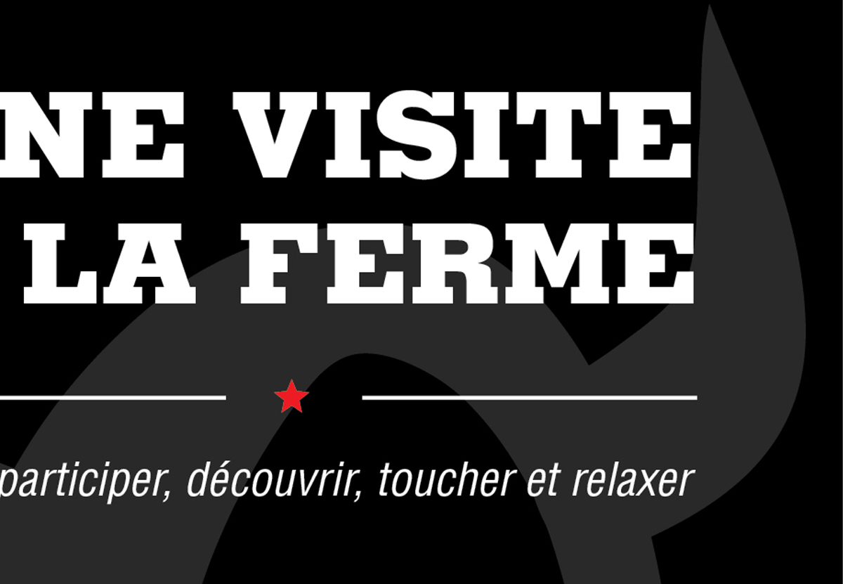 Ferme des petits torrieux