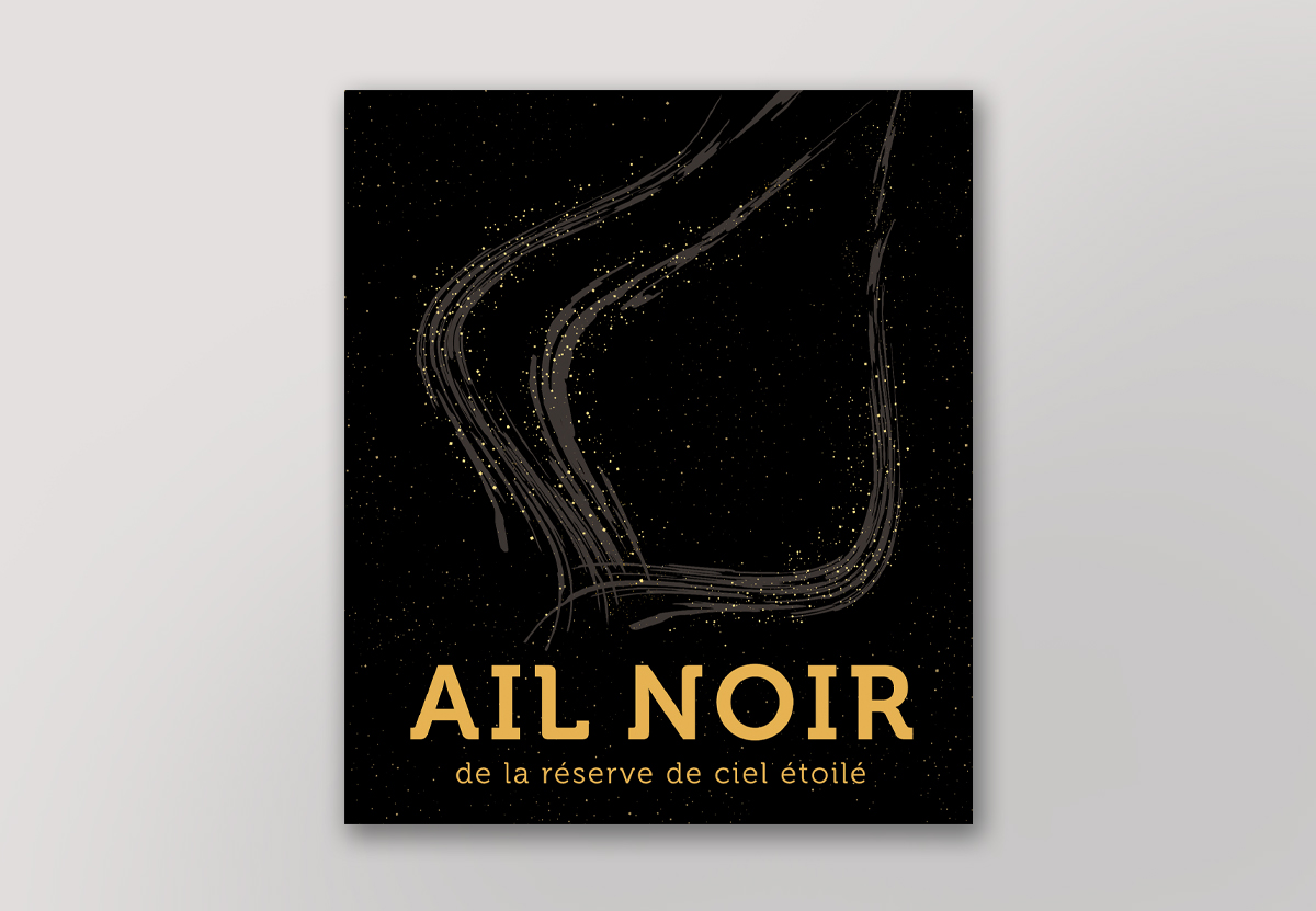 Logo Ail noir
