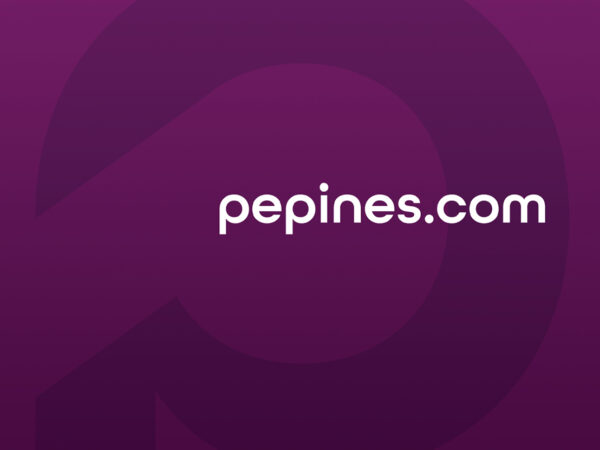 <span>Identité visuelle, cahier de normes graphiques, publicité, bannière sur pied et site internet</span><i>→</i>